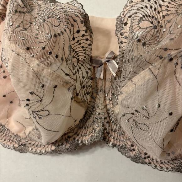 Fit Fully Yours Womens Nicole see -Thru Lace Bra Cloud Pink Size 36G - Picture 3 of 16